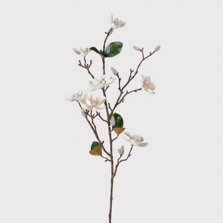 Webb House - White Blush Magnolia Stem