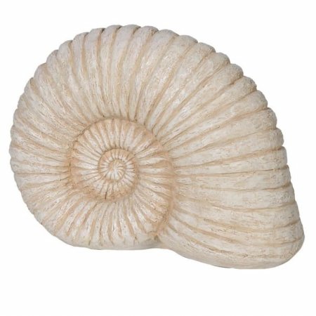 Webb House - Large Ammonite Shell Decoration