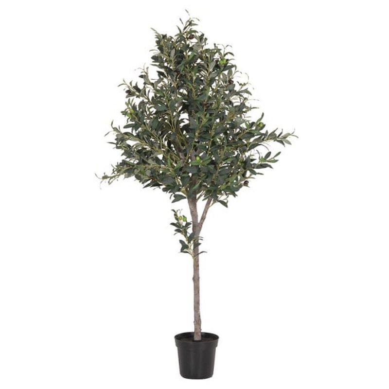 Webb House - Natural Large Olive Topiary in Black Pot